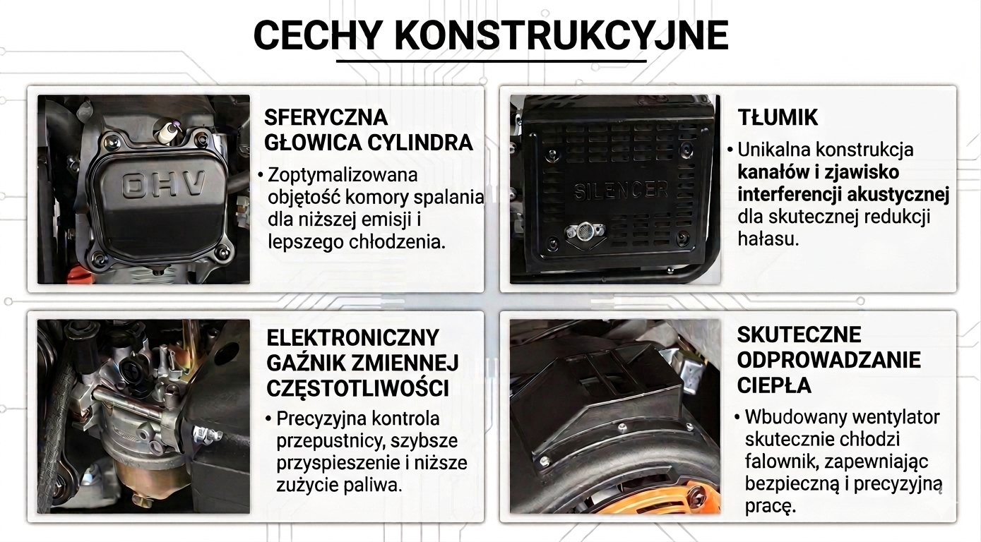 Zdjęcie 10